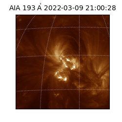 saia - 2022-03-09T21:00:28.846000
