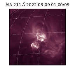 saia - 2022-03-09T01:00:09.626000