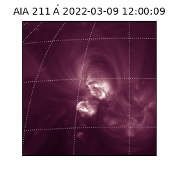 saia - 2022-03-09T12:00:09.626000