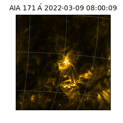 saia - 2022-03-09T08:00:09.350000