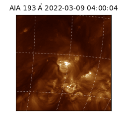 saia - 2022-03-09T04:00:04.843000