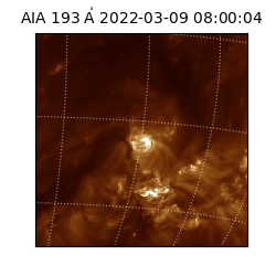 saia - 2022-03-09T08:00:04.843000