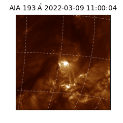 saia - 2022-03-09T11:00:04.846000