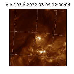 saia - 2022-03-09T12:00:04.846000