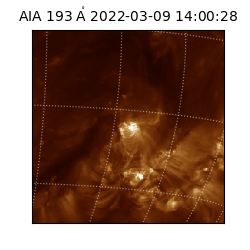 saia - 2022-03-09T14:00:28.843000