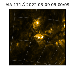 saia - 2022-03-09T09:00:09.350000