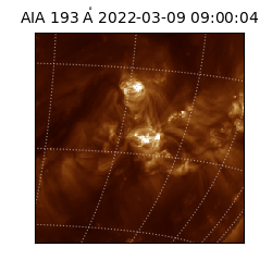saia - 2022-03-09T09:00:04.843000