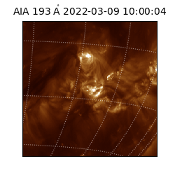 saia - 2022-03-09T10:00:04.846000