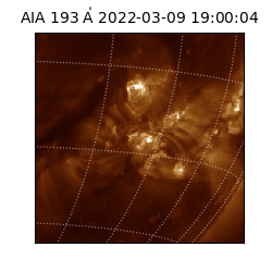 saia - 2022-03-09T19:00:04.843000
