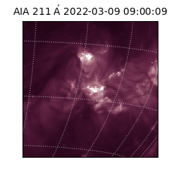 saia - 2022-03-09T09:00:09.633000
