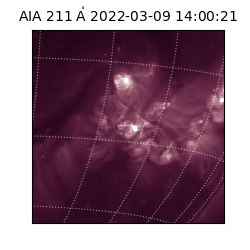 saia - 2022-03-09T14:00:21.621000