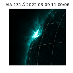 saia - 2022-03-09T11:00:06.624000