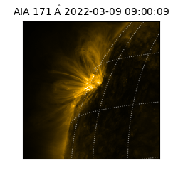 saia - 2022-03-09T09:00:09.350000