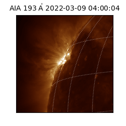 saia - 2022-03-09T04:00:04.843000