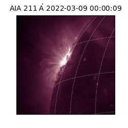 saia - 2022-03-09T00:00:09.629000