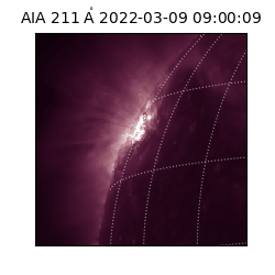 saia - 2022-03-09T09:00:09.633000