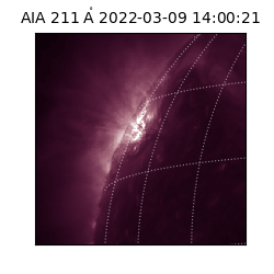 saia - 2022-03-09T14:00:21.621000
