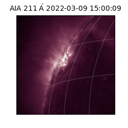 saia - 2022-03-09T15:00:09.626000