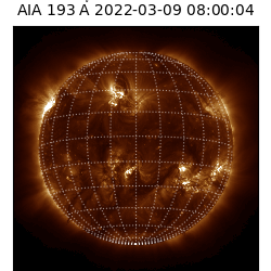 saia - 2022-03-09T08:00:00