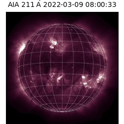 saia - 2022-03-09T08:00:00