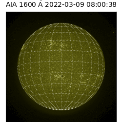 saia - 2022-03-09T08:00:00