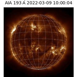 saia - 2022-03-09T10:00:00
