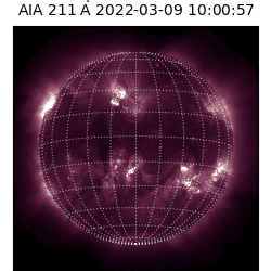 saia - 2022-03-09T10:00:00