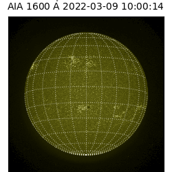 saia - 2022-03-09T10:00:00