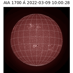 saia - 2022-03-09T10:00:00