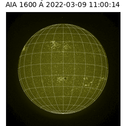saia - 2022-03-09T11:00:00