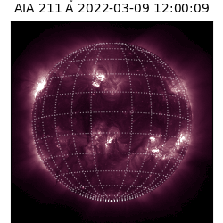 saia - 2022-03-09T12:00:00