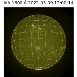 saia - 2022-03-09T12:00:00
