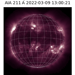saia - 2022-03-09T13:00:00