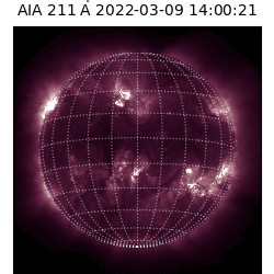 saia - 2022-03-09T14:00:00