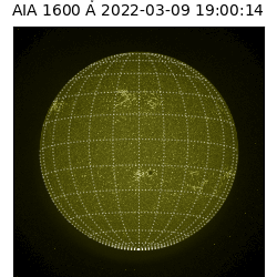 saia - 2022-03-09T19:00:00