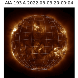 saia - 2022-03-09T20:00:00