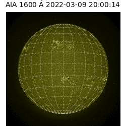 saia - 2022-03-09T20:00:00
