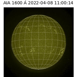 saia - 2022-04-08T11:00:00