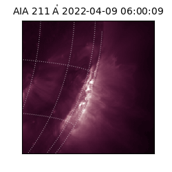 saia - 2022-04-09T06:00:09.618000