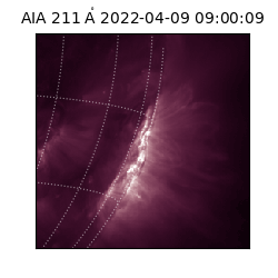 saia - 2022-04-09T09:00:09.626000