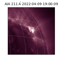 saia - 2022-04-09T19:00:09.630000