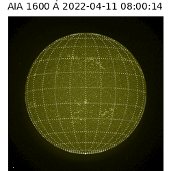 saia - 2022-04-11T08:00:00
