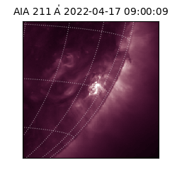saia - 2022-04-17T09:00:09.626000