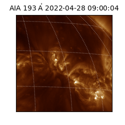 saia - 2022-04-28T09:00:04.843000