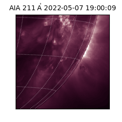 saia - 2022-05-07T19:00:09.626000