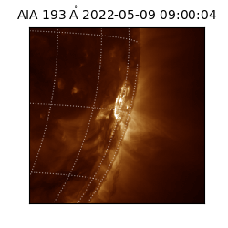 saia - 2022-05-09T09:00:04.843000