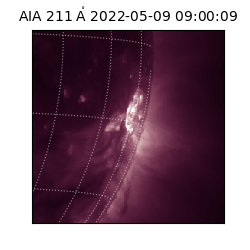 saia - 2022-05-09T09:00:09.626000