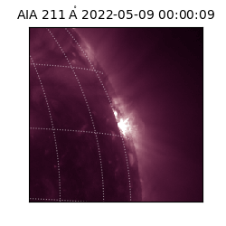 saia - 2022-05-09T00:00:09.626000