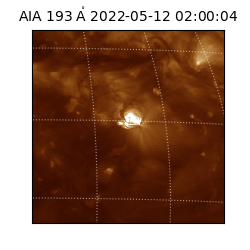 saia - 2022-05-12T02:00:04.843000
