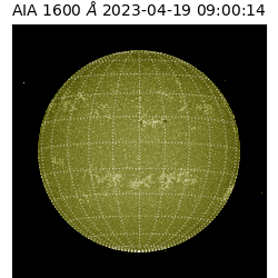 saia - 2023-04-19T09:00:14.132000